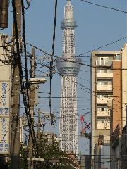 Tytu:Wiea Skytree - pod prdem
Opis:Tokio, Japonia dzielnica Sumida
Autor:Wierzyska Ewa