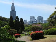 Tytu:Oaza w miecie
Opis:Tokio, Japonia Park Shinjuku Gyoen National Garden
Autor:Wierzyska Ewa