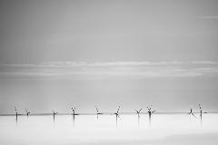 Tytu:Fabryka wiatru
Opis:Farma wiatrowa w okolicach Kosiny
Autor:Artur Wysocki