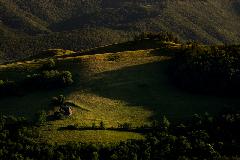 Tytu:W harmonii z natur
Opis:Valea Poienii, Rumunia
Autor:Artur Wysocki