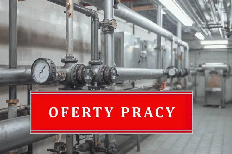 Oferty pracy